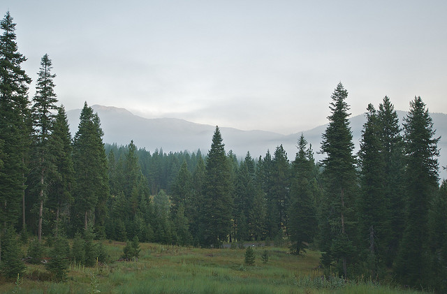 Photo credit Flickr's A. Davey